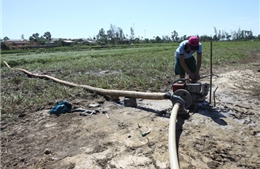 Thiếu hụt nguồn nước ở Đồng bằng sông Cửu Long